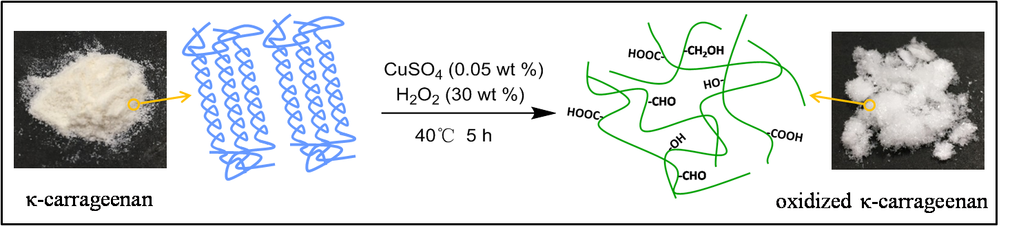 2.png 2.png